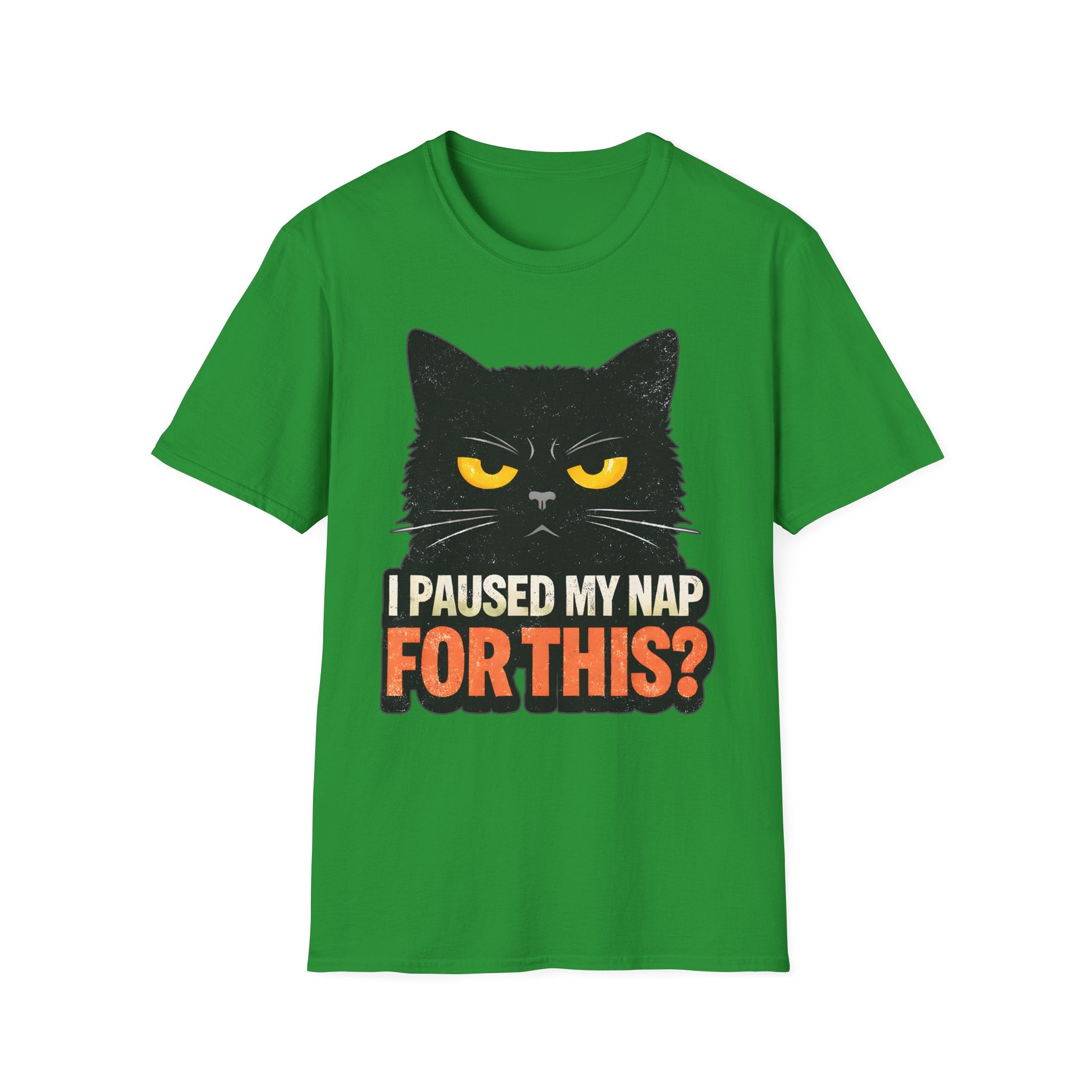 I Paused My Nap For This T-Shirt